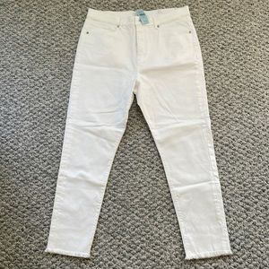 NWT: Loft high rise skinny jeans in 31 petite